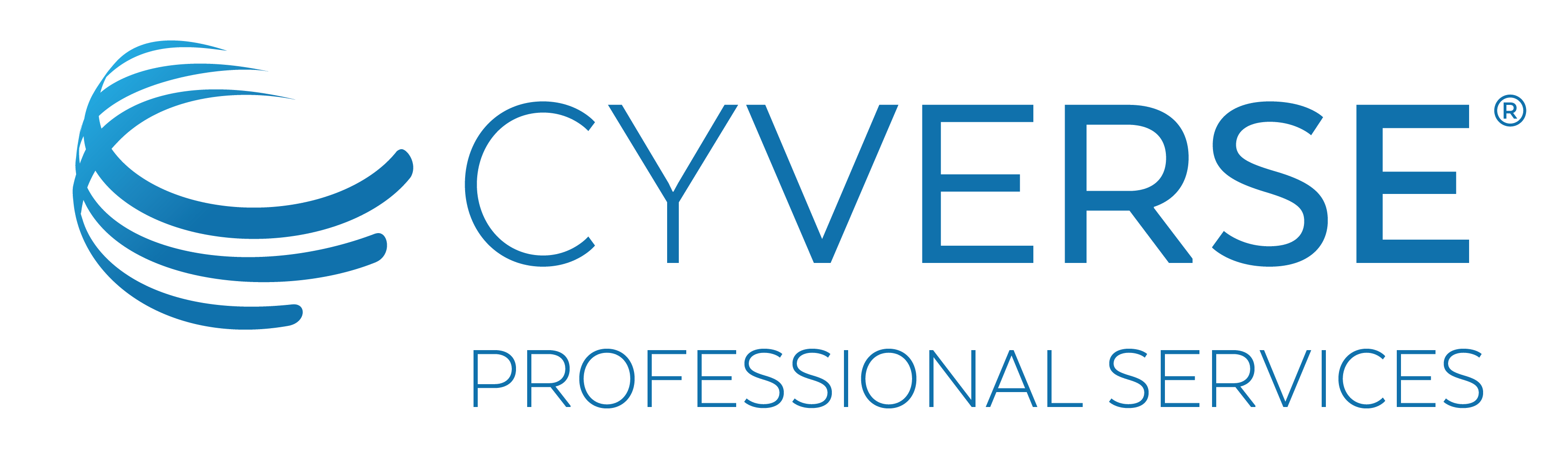 !CyVerse Professional Services